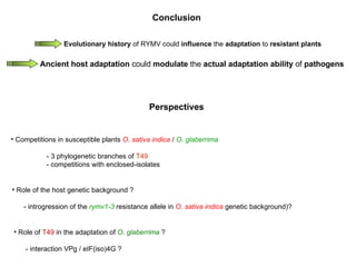 Conclusion Role of  T49  in the adaptation of  O. glaberrima   ? - interaction VPg / eIF(iso)4G  ? Role of the host genetic background   ? - introgression of the  rymv1-3  resistance allele in  O. sativa indica   genetic background)? Evolutionary history  of RYMV could  influence  the  adaptation  to  resistant plants Ancient host adaptation  could  modulate  the  actual adaptation   ability  of  pathogens Perspectives Competitions in susceptible plants  O. sativa indica   /  O. glaberrima - 3 phylogenetic branches of  T49 - competitions with enclosed-isolates 
