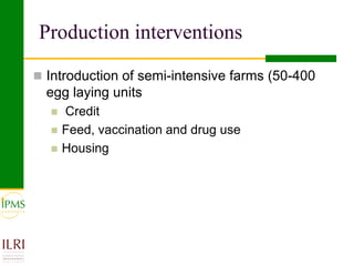 Poultry value chain development based on experiences of IPMS and partners
