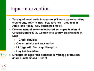 Poultry value chain development based on experiences of IPMS and partners