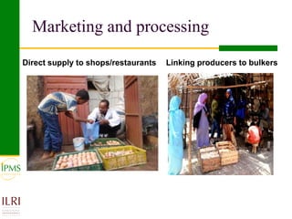 Poultry value chain development based on experiences of IPMS and partners