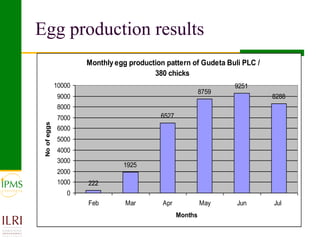 Poultry value chain development based on experiences of IPMS and partners