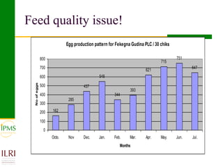 Poultry value chain development based on experiences of IPMS and partners