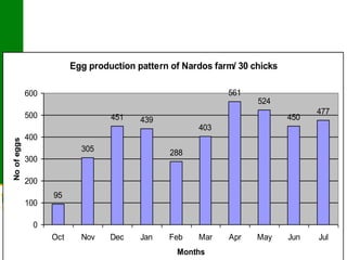 Poultry value chain development based on experiences of IPMS and partners