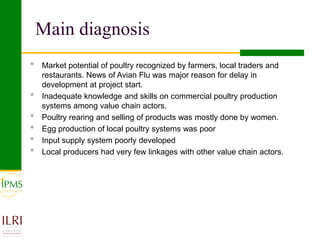 Poultry value chain development based on experiences of IPMS and partners