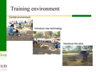 Poultry value chain development based on experiences of IPMS and partners