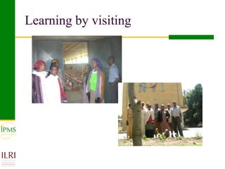 Poultry value chain development based on experiences of IPMS and partners