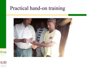 Poultry value chain development based on experiences of IPMS and partners