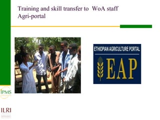 Poultry value chain development based on experiences of IPMS and partners