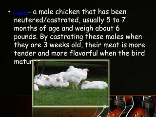 • Capon- a male chicken that has been
neutered/castrated, usually 5 to 7
months of age and weigh about 6
pounds. By castrating these males when
they are 3 weeks old, their meat is more
tender and more flavorful when the bird
matures.