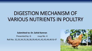 DIGESTION MECHANISM OF
VARIOUS NUTRIENTS IN POULTRY
Submitted to: Dr. Zahid Kamran
Presented by: G roup No. 4
Roll No. 32,33,34,35,36,38,39,40,41,42,43,44,46 & 47
 