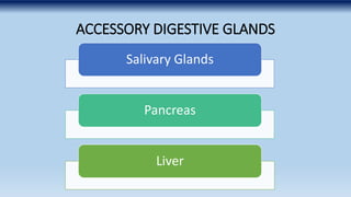 Poultry Digestive system | PPTX