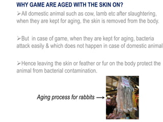 WHY GAME ARE AGED WITH THE SKIN ON?
All domestic animal such as cow, lamb etc after slaughtering,
when they are kept for ...