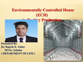 Environmentally Controlled House
(ECH)
in Poultry Production
Presented By-
Dr. Rajesh K. Yadav
MVSc. Scholar
( DEPARTMENT OF LPM )
 
