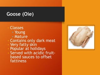 Goose (Oie)
• Classes
• Young
• Mature
• Contains only dark meat
• Very fatty skin
• Popular at holidays
• Served with acidic fruit-
based sauces to offset
fattiness
 