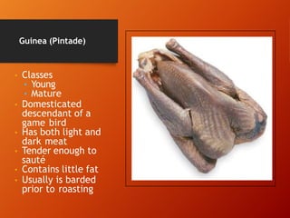 Guinea (Pintade)
• Classes
• Young
• Mature
• Domesticated
descendant of a
game bird
• Has both light and
dark meat
• Tender enough to
sauté
• Contains little fat
• Usually is barded
prior to roasting
 