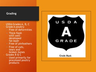 Grading
• USDA Grades A, B, C
• Grade A poultry
• Free of deformities
• Thick flesh
with well-
developed
fat layer
• Free of pinfeathers
• Free of cuts,
tears and
broken bones
• Grades B & C
• Used primarily for
processed poultry
products
 