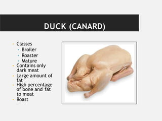 DUCK (CANARD)
• Classes
• Broiler
• Roaster
• Mature
• Contains only
dark meat
• Large amount of
fat
• High percentage
of bone and fat
to meat
• Roast
 