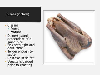 Guinea (Pintade)
• Classes
• Young
• Mature
• Domesticated
descendant of a
game bird
• Has both light and
dark meat
• Tender enough to
sauté
• Contains little fat
• Usually is barded
prior to roasting
 