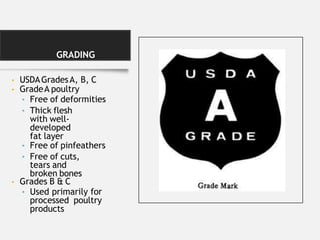 GRADING
• USDAGradesA, B, C
• GradeA poultry
• Free of deformities
• Thick flesh
with well-
developed
fat layer
• Free of pinfeathers
• Free of cuts,
tears and
broken bones
• Grades B & C
• Used primarily for
processed poultry
products
 