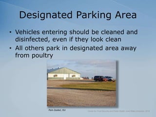 Designated Parking Area
• Vehicles entering should be cleaned and
disinfected, even if they look clean
• All others park in designated area away
from poultry
Center for Food Security and Public Health, Iowa State University, 2018
Pam Zaabel, ISU
 