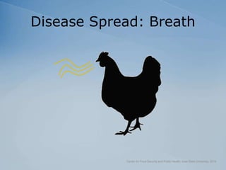 Disease Spread: Breath
Center for Food Security and Public Health, Iowa State University, 2018
 