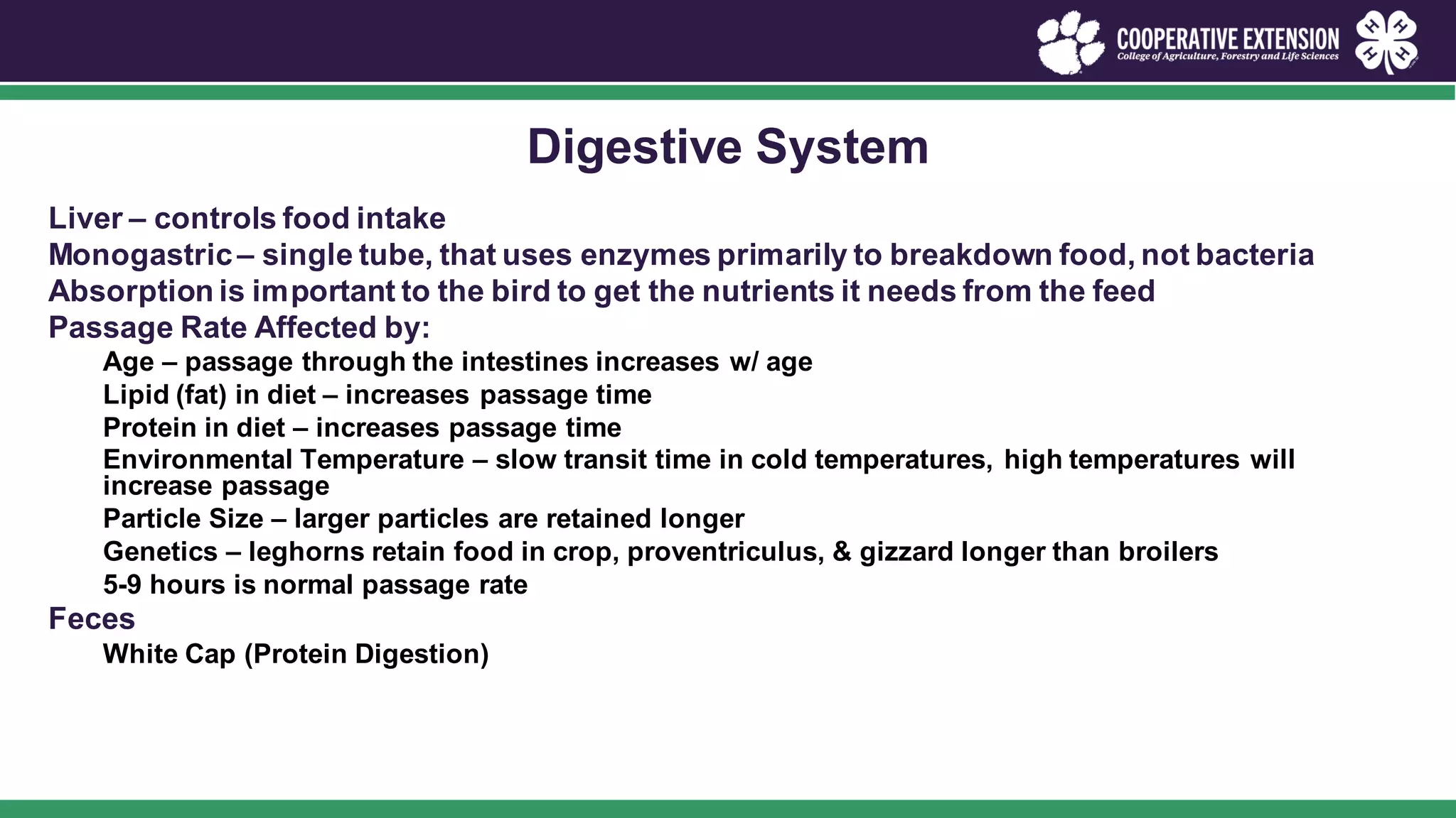 Beautiful view of Basic Principles Of Poultry Health Monitoring