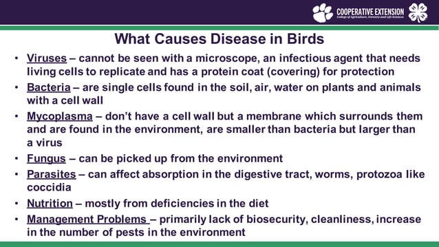 View of poultry-health-management.pdf