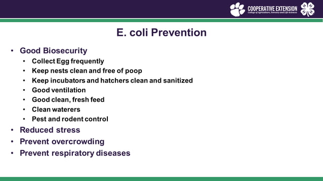 poultry-health-management.pdf - Basic Principles Of Poultry Health Monitoring