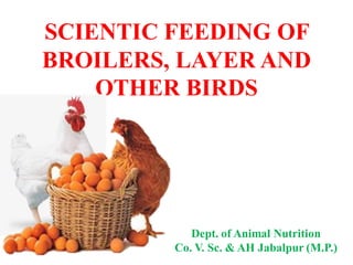 SCIENTIC FEEDING OF
BROILERS, LAYER AND
OTHER BIRDS
Dept. of Animal Nutrition
Co. V. Sc. & AH Jabalpur (M.P.)
 