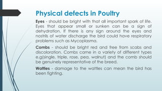 Poultry Production knowledgeable resources | PPTX