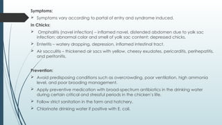 Poultry Production knowledgeable resources | PPTX