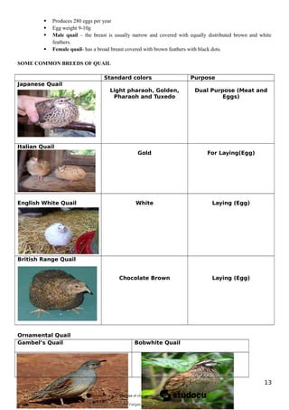  Produces 280 eggs per year
 Egg weight 9-10g
 Male quail – the breast is usually narrow and covered with equally distributed brown and white
feathers.
 Female quail- has a broad breast covered with brown feathers with black dots.
SOME COMMON BREEDS OF QUAIL
Standard colors Purpose
Japanese Quail
Light pharaoh, Golden,
Pharaoh and Tuxedo
Dual Purpose (Meat and
Eggs)
Italian Quail
Gold For Laying(Egg)
English White Quail White Laying (Egg)
British Range Quail
Chocolate Brown Laying (Egg)
Ornamental Quail
Gambel’s Quail Bobwhite Quail
13
Downloaded by Fredzkie Vargas Channel (vargasfred86@gmail.com)
lOMoARcPSD|16678982
 