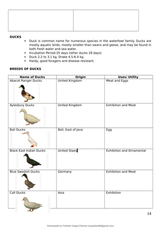 DUCKS
 Duck is common name for numerous species in the waterfowl family. Ducks are
mostly aquatic birds, mostly smaller than swans and geese, and may be found in
both fresh water and sea water.
 Incubation Period-35 days (other ducks 28 days)
 Duck 2.2 to 3.1 kg. Drake 4.5-6.4 kg.
 Hardy, good foragers and disease resistant.
BREEDS OF DUCKS
Name of Ducks Origin Uses/ Utility
Abacot Ranger Ducks United Kingdom Meat and Eggs
Aylesbury Ducks United Kingdom Exhibition and Meat
Bali Ducks Bali, East of Java Egg
Black East Indian Ducks United Staes Exhibition and Ornamental
Blue Swedish Ducks Germany Exhibition and Meat
Call Ducks Asia Exhibition
14
Downloaded by Fredzkie Vargas Channel (vargasfred86@gmail.com)
lOMoARcPSD|16678982
 