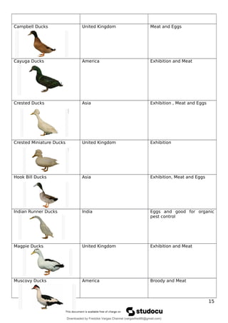 Campbell Ducks United Kingdom Meat and Eggs
Cayuga Ducks America Exhibition and Meat
Crested Ducks Asia Exhibition , Meat and Eggs
Crested Miniature Ducks United Kingdom Exhibition
Hook Bill Ducks Asia Exhibition, Meat and Eggs
Indian Runner Ducks India Eggs and good for organic
pest control
Magpie Ducks United Kingdom Exhibition and Meat
Muscovy Ducks America Broody and Meat
15
Downloaded by Fredzkie Vargas Channel (vargasfred86@gmail.com)
lOMoARcPSD|16678982
 