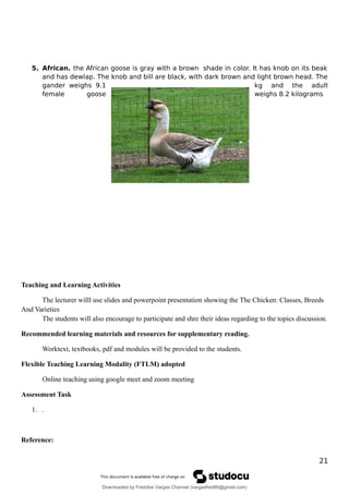 5. African. the African goose is gray with a brown shade in color. It has knob on its beak
and has dewlap. The knob and bill are black, with dark brown and light brown head. The
gander weighs 9.1 kg and the adult
female goose weighs 8.2 kilograms
Teaching and Learning Activities
The lecturer willl use slides and powerpoint presentation showing the The Chicken: Classes, Breeds
And Varieties
The students will also encourage to participate and shre their ideas regarding to the topics discussion.
Recommended learning materials and resources for supplementary reading.
Worktext, textbooks, pdf and modules will be provided to the students.
Flexible Teaching Learning Modality (FTLM) adopted
Online teaching using google meet and zoom meeting
Assessment Task
1. .
Reference:
21
Downloaded by Fredzkie Vargas Channel (vargasfred86@gmail.com)
lOMoARcPSD|16678982
 