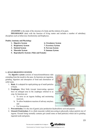 ANATOMY is the study of the structure of a body and the relation of its parts.
PHYSIOLOGY deals with the function of living matter and includes a number of subsidiary
disciplines such as behaviour, biochemistry and biophysics.
Poultry Anatomy and Physiology
1. Digestive System 6. Circulatory System
2. Respiratory System 7. Excretory System
3. Skeletal System 8. Nervous System
4. Muscular System 9. Immune System
5. Reproductive System ( Male and Female)
1. AVIAN DIGESTIVE SYSTEM
The digestive system consists of muscolomembranous tube
extending from the mouth to the anus. Its functions are ingestion,
grinding, digestion and absorption of food and elimination of
solid waste.
1. Beak. It is adopted for rapid picking up of small particles
of feeds.
2. Esophagus. Most birds (except insect-eating species)
have an enlarged area in the esophagus referred to as
crop. Its functions are:
a. To serve as an ingesta holding and moistening
reservoir;
b. To allow breakdown reaction of salivary amylase;
and
c. For fermentation.
3. Proventriculus. It is the site of gastric juice production (hydrochloric acid and pepsin).
4. Gizzard (Ventriculus). It is a thick muscular walled area acting to physically reduce particle size of
ingesta. Gizzard lining normally contains grit (small stone or hard particles) which aid in grinding
ingested seeds and grains.
23
Downloaded by Fredzkie Vargas Channel (vargasfred86@gmail.com)
lOMoARcPSD|16678982
 