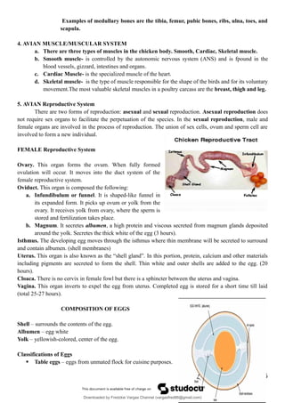 Examples of medullary bones are the tibia, femur, pubic bones, ribs, ulna, toes, and
scapula.
4. AVIAN MUSCLE/MUSCULAR SYSTEM
a. There are three types of muscles in the chicken body. Smooth, Cardiac, Skeletal muscle.
b. Smooth muscle- is controlled by the autonomic nervous system (ANS) and is fpound in the
blood vessels, gizzard, intestines and organs.
c. Cardiac Muscle- is the specialized muscle of the heart.
d. Skeletal muscle- is the type of muscle responsible for the shape of the birds and for its voluntary
movement.The most valuable skeletal muscles in a poultry carcass are the breast, thigh and leg.
5. AVIAN Reproductive System
There are two forms of reproduction: asexual and sexual reproduction. Asexual reproduction does
not require sex organs to facilitate the perpetuation of the species. In the sexual reproduction, male and
female organs are involved in the process of reproduction. The union of sex cells, ovum and sperm cell are
involved to form a new individual.
FEMALE Reproductive System
Ovary. This organ forms the ovum. When fully formed
ovulation will occur. It moves into the duct system of the
female reproductive system.
Oviduct. This organ is composed the following:
a. Infundibulum or funnel. It is shaped-like funnel in
its expanded form. It picks up ovum or yolk from the
ovary. It receives yolk from ovary, where the sperm is
stored and fertilization takes place.
b. Magnum. It secretes albumen, a high protein and viscous secreted from magnum glands deposited
around the yolk. Secretes the thick white of the egg (3 hours).
Isthmus. The developing egg moves through the isthmus where thin membrane will be secreted to surround
and contain albumen. (shell membranes)
Uterus. This organ is also known as the “shell gland”. In this portion, protein, calcium and other materials
including pigments are secreted to form the shell. Thin white and outer shells are added to the egg. (20
hours).
Cloaca. There is no cervix in female fowl but there is a sphincter between the uterus and vagina.
Vagina. This organ inverts to expel the egg from uterus. Completed egg is stored for a short time till laid
(total 25-27 hours).
COMPOSITION OF EGGS
Shell – surrounds the contents of the egg.
Albumen – egg white
Yolk – yellowish-colored, center of the egg.
Classifications of Eggs
 Table eggs – eggs from unmated flock for cuisine purposes.
25
Downloaded by Fredzkie Vargas Channel (vargasfred86@gmail.com)
lOMoARcPSD|16678982
 