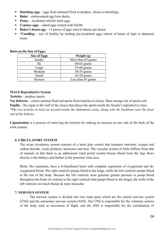  Hatching eggs – eggs from unmated flock to produce chicks or ducklings.
 Balut – embryonated egg from ducks.
 Penoy – incubated infertile duck eggs.
 Century eggs – salted eggs treated with NaOH
 Baker’s dozen egg – 13 pieces of eggs used in bakery per dozen
 *Candling – test of fertility by holding pre-incubated eggs infront of beam of light in darkened
room.
Basis on the Size of Eggs:
Size of Eggs Weight (g)
Jumbo More than 65 grams
XL 60-65 grams
Large 55-60 grams
Medium 50-55 grams
Small 45-50 grams
Peewee Less than 45 grams
MALE Reproductive System
Testicles – produce sperm
Vas deferens – carries seminal fluid and sperm from testicles to cloaca. Main storage site of sperm cell.
Papilla – the organ in the wall of the cloaca that places the sperm inside the female’s reproductive tract.
*The two testicles in bird are located inside the abdominal cavity, along with the backbone near the front
end of the kidneys.
Caponization is a process of removing the testicles by making an incision on one side of the back of the
cock (capon)
6. CIRCULATORY SYSTEM
The avian circulatory system consists of a heart plus vessels that transport nutrients, oxygen and
carbon dioxide, waste products, hormones and heat. The vascular system of birds differes from that
of mamals in that there is an additoional renal portal system.Venous blood from the legs flows
directly ti the kidneys and further to the posterior vena cava.
Birds, like mammals, have a 4-chambered heart with complete separation of oxygenated and de-
oxygenated blood. The right ventricle pumps blood to the lungs, while the left ventricle pumps blood
to the rest of the body. Because the left ventricle must generate greater pressure to pump blood
throughout the body (in contrast to the right ventricle that pumps blood to the lungs), the walls of the
left ventricle are much thicker & more muscular.
7. NERVOUS SYSTEM
The nervous system is divided into two main parts which are the central nervous system
(CNS) and the autonomic nervous system (ANS). The CNS is responsible for the voluntary actions
of the body such as movement of flight, and the ANS is responsible for the coordination of
26
Downloaded by Fredzkie Vargas Channel (vargasfred86@gmail.com)
lOMoARcPSD|16678982
 