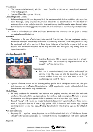 Transmission
 The virus spreads horizontally via direct contact from bird to bird and via contaminated personnel,
water and equipment.
 Species a ected Turkeys and chickens.
ﬀ
Clinical Signs and Lesions
 In both turkeys and chickens. In young birds the respiratory clinical signs; snicking, rales, sneezing,
nasal discharge , foamy conjunctivitis, swollen infraorbital and periorbital sinus “swollen head” are
most prominent; when birds become older head shaking and coughing can be added. In adult laying
hens there may a drop in egg production up to 70% with an increased incidence of poor shell quality.
Treatment
 There is no treatment for aMPV infections. Treatment with antibiotics can be given to control
secondary bacterial infections.
Prevention
 Vaccination is the most e ective prevention method. Over the years live and inactivated vaccines
ﬀ
have been developed and are very e cacious in controlling infections. Short living birds will only
ﬃ
be vaccinated with a live vaccine(s). Long living birds are advised to be primed with live- and
boosted with inactivated vaccines. In this way the birds will have good long lasting local and
systemic protection.
Infectious Bronchitis (IB)
Cause
 Infectious Bronchitis (IB) is present worldwide, it is a highly
contagious, acute, and economically important disease. IB is
caused by an Avian Coronavirus.
Transmission
 The virus is transmitted rapidly from bird to bird through the
airborne route. The virus can also be transmitted via the air
between chicken houses and even from farm to farm. The
incubation period is only 1-3 days.
 Species a ected Chickens are the primary poultry species that is susceptible to IB-virus, but quail
ﬀ
and pheasants can be a ected. Recent discovery of IB virus in other species without clinical signs
ﬀ
indicates that other species may act as vectors.
Clinical Signs
 In young chickens the respiratory form appears with gasping, sneezing, tracheal rales and nasal
discharge. Generally chicks are depressed and show reduced feed consumption. Mortality in general
is low unless infection gets complicated with secondary bacterial infections (like E.coli).
 In adult “laying” birds (layers and breeders) after initial respiratory signs the a ected ﬂocks show a
ﬀ
drop in egg production and a loss of egg quality (shell deformation and internal egg changes)
resulting in more second class eggs, a ecting the hatchability rate of fertile eggs and day-old chick
ﬀ
quality.
Post mortem lesions
 In young chicks a yellow cheesy plug at the tracheal bifurcation is indicative of IB infection. In case
of nephropathogenic infections pale and swollen kidneys and distended ureters with urates are found.
Diagnosis
45
Downloaded by Fredzkie Vargas Channel (vargasfred86@gmail.com)
lOMoARcPSD|16678982
 
