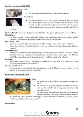 Infectious Laryngotracheitis (ILT)
Cause
 ILT is caused by a Herpesvirus, only one serotype is known.
Transmission
 The natural entry of ILT is via the upper respiratory tract and ocular
route. Field spread occurs via direct contact from bird to bird and/or
transmission by contaminated people or equipment (visitors, shoes,
clothing, egg boxes, transport crates). Incubation period varies from 4
-12 days.
Species A ected
ﬀ : Chickens are the primary natural host but other species (pheasants) can also be a ected.
ﬀ
Clinical Signs
 An acute respiratory disease with nasal discharge and moist rales followed by gasping, marked
respiratory distress and expectoration of blood-stained mucus in laying birds.
Post Mortem Lesions
 Lesion are found throughout the respiratory tract but most pronounced in the larynx and trachea.
 Depending on the severity of the infection you can ﬁnd tracheitis with haemorrhagic and/or diphteric
changes.
Diagnosis Clinical
 Laboratory conﬁrmation with: histopathology showing intranuclear inclusion bodies in tracheal
epithelial cells, virus isolation from tracheal swabs on embryonated chicken eggs, virus detection
with IFT on tracheal samples. Detecting antibodies from blood samples after infection.
Treatment
 There is no treatment for ILT; emergency vaccination in the early stage of an infected ﬂock may
reduce the spread and limit the outbreak.
Prevention and Control
 In many countries vaccination is the preferred control method. Though in some countries it is not
allowed to vaccinate or only under restriction.
Mycoplasma gallicepticum (CRD)
Cause
 The underlying cause of CRD is Mycoplasma gallisepticum
(MG).
 The condition is frequently triggered by respiratory viruses
such as ND and IB and subsequently complicated by
bacterial invasion.
 The main agents involved in the infection are Mycoplasma
gallisepticum and E. coli. Stress caused by moving the birds,
by debeaking, other operations/ handlings or other unfavorable conditions e.g. cold or bad
ventilation, make the birds more susceptible.
Transmission
47
Downloaded by Fredzkie Vargas Channel (vargasfred86@gmail.com)
lOMoARcPSD|16678982
 