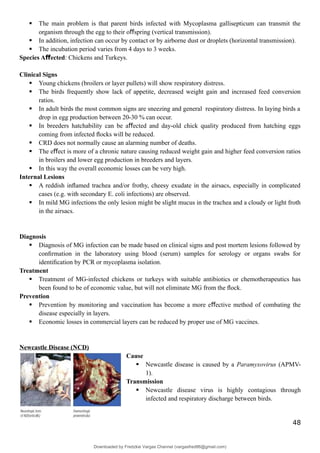  The main problem is that parent birds infected with Mycoplasma gallisepticum can transmit the
organism through the egg to their o spring (vertical transmission).
ﬀ
 In addition, infection can occur by contact or by airborne dust or droplets (horizontal transmission).
 The incubation period varies from 4 days to 3 weeks.
Species A ected
ﬀ : Chickens and Turkeys.
Clinical Signs
 Young chickens (broilers or layer pullets) will show respiratory distress.
 The birds frequently show lack of appetite, decreased weight gain and increased feed conversion
ratios.
 In adult birds the most common signs are sneezing and general respiratory distress. In laying birds a
drop in egg production between 20-30 % can occur.
 In breeders hatchability can be a ected and day-old chick quality produced from hatching eggs
ﬀ
coming from infected ﬂocks will be reduced.
 CRD does not normally cause an alarming number of deaths.
 The e ect is more of a chronic nature causing reduced weight gain and higher feed conversion ratios
ﬀ
in broilers and lower egg production in breeders and layers.
 In this way the overall economic losses can be very high.
Internal Lesions
 A reddish inﬂamed trachea and/or frothy, cheesy exudate in the airsacs, especially in complicated
cases (e.g. with secondary E. coli infections) are observed.
 In mild MG infections the only lesion might be slight mucus in the trachea and a cloudy or light froth
in the airsacs.
Diagnosis
 Diagnosis of MG infection can be made based on clinical signs and post mortem lesions followed by
conﬁrmation in the laboratory using blood (serum) samples for serology or organs swabs for
identiﬁcation by PCR or mycoplasma isolation.
Treatment
 Treatment of MG-infected chickens or turkeys with suitable antibiotics or chemotherapeutics has
been found to be of economic value, but will not eliminate MG from the ﬂock.
Prevention
 Prevention by monitoring and vaccination has become a more e ective method of combating the
ﬀ
disease especially in layers.
 Economic losses in commercial layers can be reduced by proper use of MG vaccines.
Newcastle Disease (NCD)
Cause
 Newcastle disease is caused by a Paramyxovirus (APMV-
1).
Transmission
 Newcastle disease virus is highly contagious through
infected and respiratory discharge between birds.
48
Downloaded by Fredzkie Vargas Channel (vargasfred86@gmail.com)
lOMoARcPSD|16678982
 