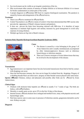  Eye involvement can be visible as an irregular constriction of the iris.
 Skin involvement often consists of tumours of feather follicles or in between follicles it is a reason
for broiler condemnation in certain parts of the world.
 A proper diagnosis to di erentiate MD from LL requires histological examination. The paralysis is
ﬀ
caused by lesions and enlargements of the a ected nerves.
ﬀ
Treatment
 There is no e ective treatment for a ected ﬂocks.
ﬀ ﬀ
 Control Vaccination is an e ective means of control. It has been demonstrated that MD vaccine only
ﬀ
prevents the appearance of Marek’s disease tumours and paralysis.
 It does not prevent the birds from becoming infected with MD-virus. It is therefore of major
importance to maintain high hygienic and sanitary measures by good management to avoid early
exposure of young chickens.
 Multiple age farms are big risk to Marek’s disease.
Inclusion Body Hepatitis Hydropericardium-Hepatitis Syndrome (HHS)
Cause
 The disease is caused by a virus belonging to the group 1 of
Avian Adenovirus and is usually simultaneously accompanied
by other immunosuppressive diseases such as infectious
bursal disease or infectious anaemia.
 There are12 known serotypes of Avian Adenoviruses that may
be involved in the development of this disease.
Transmission
 Egg transmission is an important factor but also horizontal transmission from bird to bird by contact
with droppings can occur.
 Once the bird becomes immune, the virus can no longer be isolated from the droppings. Progeny of
a shedding breeder ﬂock can infect naive progeny of other breeder sources placed in the same house.
Species A ected:
ﬀ Chickens, turkeys and pheasants and possibly other birds can be a ected by Avian
ﬀ
Adenoviruses.
Clinical Signs
 Chickens with inclusion body hepatitis are a ected at usually 5 to 7 weeks of age. The birds are
ﬀ
listless, with ru ed feathers.
ﬄ
 Mortality is usually quite severe, up to 25% in the ﬁrst 10 days of the disease.
 Internal lesions; a ected chickens have enlarged and mottled livers, many with pinpoint necrotic and
ﬀ
haemorrhagic spots.
 Pale bone marrow and, in some cases in presence of infectious anemia, gangrenous dermatitis can be
seen. Kidneys are pale.
Diagnosis
50
Downloaded by Fredzkie Vargas Channel (vargasfred86@gmail.com)
lOMoARcPSD|16678982
 