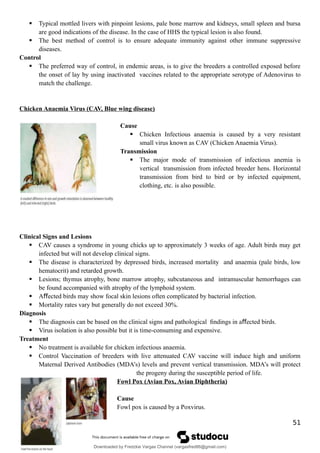  Typical mottled livers with pinpoint lesions, pale bone marrow and kidneys, small spleen and bursa
are good indications of the disease. In the case of HHS the typical lesion is also found.
 The best method of control is to ensure adequate immunity against other immune suppressive
diseases.
Control
 The preferred way of control, in endemic areas, is to give the breeders a controlled exposed before
the onset of lay by using inactivated vaccines related to the appropriate serotype of Adenovirus to
match the challenge.
Chicken Anaemia Virus (CAV, Blue wing disease)
Cause
 Chicken Infectious anaemia is caused by a very resistant
small virus known as CAV (Chicken Anaemia Virus).
Transmission
 The major mode of transmission of infectious anemia is
vertical transmission from infected breeder hens. Horizontal
transmission from bird to bird or by infected equipment,
clothing, etc. is also possible.
Clinical Signs and Lesions
 CAV causes a syndrome in young chicks up to approximately 3 weeks of age. Adult birds may get
infected but will not develop clinical signs.
 The disease is characterized by depressed birds, increased mortality and anaemia (pale birds, low
hematocrit) and retarded growth.
 Lesions; thymus atrophy, bone marrow atrophy, subcutaneous and intramuscular hemorrhages can
be found accompanied with atrophy of the lymphoid system.
 A ected birds may show focal skin lesions often complicated by bacterial infection.
ﬀ
 Mortality rates vary but generally do not exceed 30%.
Diagnosis
 The diagnosis can be based on the clinical signs and pathological ﬁndings in a ected birds.
ﬀ
 Virus isolation is also possible but it is time-consuming and expensive.
Treatment
 No treatment is available for chicken infectious anaemia.
 Control Vaccination of breeders with live attenuated CAV vaccine will induce high and uniform
Maternal Derived Antibodies (MDA’s) levels and prevent vertical transmission. MDA’s will protect
the progeny during the susceptible period of life.
Fowl Pox (Avian Pox, Avian Diphtheria)
Cause
Fowl pox is caused by a Poxvirus.
51
Downloaded by Fredzkie Vargas Channel (vargasfred86@gmail.com)
lOMoARcPSD|16678982
 