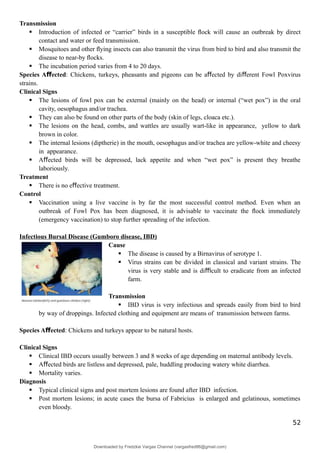 Transmission
 Introduction of infected or “carrier” birds in a susceptible ﬂock will cause an outbreak by direct
contact and water or feed transmission.
 Mosquitoes and other ﬂying insects can also transmit the virus from bird to bird and also transmit the
disease to near-by ﬂocks.
 The incubation period varies from 4 to 20 days.
Species A ected
ﬀ : Chickens, turkeys, pheasants and pigeons can be a ected by di erent Fowl Poxvirus
ﬀ ﬀ
strains.
Clinical Signs
 The lesions of fowl pox can be external (mainly on the head) or internal (“wet pox”) in the oral
cavity, oesophagus and/or trachea.
 They can also be found on other parts of the body (skin of legs, cloaca etc.).
 The lesions on the head, combs, and wattles are usually wart-like in appearance, yellow to dark
brown in color.
 The internal lesions (diptherie) in the mouth, oesophagus and/or trachea are yellow-white and cheesy
in appearance.
 A ected birds will be depressed, lack appetite and when “wet pox” is present they breathe
ﬀ
laboriously.
Treatment
 There is no e ective treatment.
ﬀ
Control
 Vaccination using a live vaccine is by far the most successful control method. Even when an
outbreak of Fowl Pox has been diagnosed, it is advisable to vaccinate the ﬂock immediately
(emergency vaccination) to stop further spreading of the infection.
Infectious Bursal Disease (Gumboro disease, IBD)
Cause
 The disease is caused by a Birnavirus of serotype 1.
 Virus strains can be divided in classical and variant strains. The
virus is very stable and is di cult to eradicate from an infected
ﬃ
farm.
Transmission
 IBD virus is very infectious and spreads easily from bird to bird
by way of droppings. Infected clothing and equipment are means of transmission between farms.
Species A ected
ﬀ : Chickens and turkeys appear to be natural hosts.
Clinical Signs
 Clinical IBD occurs usually between 3 and 8 weeks of age depending on maternal antibody levels.
 A ected birds are listless and depressed, pale, huddling producing watery white diarrhea.
ﬀ
 Mortality varies.
Diagnosis
 Typical clinical signs and post mortem lesions are found after IBD infection.
 Post mortem lesions; in acute cases the bursa of Fabricius is enlarged and gelatinous, sometimes
even bloody.
52
Downloaded by Fredzkie Vargas Channel (vargasfred86@gmail.com)
lOMoARcPSD|16678982
 