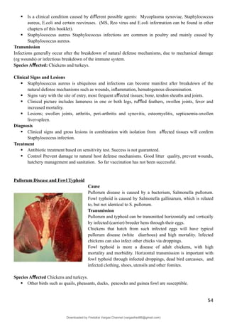  Is a clinical condition caused by di erent possible agents: Mycoplasma synoviae, Staphylococcus
ﬀ
aureus, E.coli and certain reoviruses. (MS, Reo virus and E.coli information can be found in other
chapters of this booklet).
 Staphylococcus aureus Staphylococcus infections are common in poultry and mainly caused by
Staphylococcus aureus.
Transmission
Infections generally occur after the breakdown of natural defense mechanisms, due to mechanical damage
(eg wounds) or infectious breakdown of the immune system.
Species A ected:
ﬀ Chickens and turkeys.
Clinical Signs and Lesions
 Staphylococcus aureus is ubiquitous and infections can become manifest after breakdown of the
natural defense mechanisms such as wounds, inﬂammation, hematogenous dissemination.
 Signs vary with the site of entry, most frequent a ected tissues; bone, tendon sheaths and joints.
ﬀ
 Clinical picture includes lameness in one or both legs, ru ed feathers, swollen joints, fever and
ﬄ
increased mortality.
 Lesions; swollen joints, arthritis, peri-arthritis and synovitis, osteomyelitis, septicaemia-swollen
liver-spleen.
Diagnosis
 Clinical signs and gross lesions in combination with isolation from a ected tissues will conﬁrm
ﬀ
Staphylococcus infection.
Treatment
 Antibiotic treatment based on sensitivity test. Success is not guaranteed.
 Control Prevent damage to natural host defense mechanisms. Good litter quality, prevent wounds,
hatchery management and sanitation. So far vaccination has not been successful.
Pullorum Disease and Fowl Typhoid
Cause
Pullorum disease is caused by a bacterium, Salmonella pullorum.
Fowl typhoid is caused by Salmonella gallinarum, which is related
to, but not identical to S. pullorum.
Transmission
Pullorum and typhoid can be transmitted horizontally and vertically
by infected (carrier) breeder hens through their eggs.
Chickens that hatch from such infected eggs will have typical
pullorum disease (white diarrhoea) and high mortality. Infected
chickens can also infect other chicks via droppings.
Fowl typhoid is more a disease of adult chickens, with high
mortality and morbidity. Horizontal transmission is important with
fowl typhoid through infected droppings, dead bird carcasses, and
infected clothing, shoes, utensils and other fomites.
Species A ected
ﬀ Chickens and turkeys.
 Other birds such as quails, pheasants, ducks, peacocks and guinea fowl are susceptible.
54
Downloaded by Fredzkie Vargas Channel (vargasfred86@gmail.com)
lOMoARcPSD|16678982
 