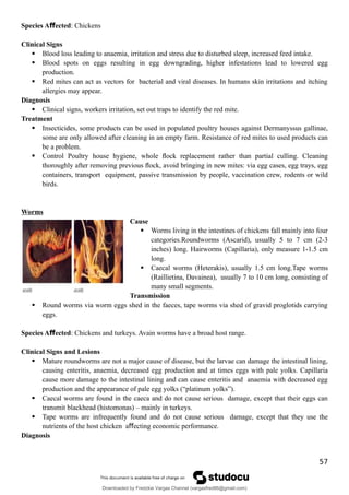 Species A ected
ﬀ : Chickens
Clinical Signs
 Blood loss leading to anaemia, irritation and stress due to disturbed sleep, increased feed intake.
 Blood spots on eggs resulting in egg downgrading, higher infestations lead to lowered egg
production.
 Red mites can act as vectors for bacterial and viral diseases. In humans skin irritations and itching
allergies may appear.
Diagnosis
 Clinical signs, workers irritation, set out traps to identify the red mite.
Treatment
 Insecticides, some products can be used in populated poultry houses against Dermanyssus gallinae,
some are only allowed after cleaning in an empty farm. Resistance of red mites to used products can
be a problem.
 Control Poultry house hygiene, whole ﬂock replacement rather than partial culling. Cleaning
thoroughly after removing previous ﬂock, avoid bringing in new mites: via egg cases, egg trays, egg
containers, transport equipment, passive transmission by people, vaccination crew, rodents or wild
birds.
Worms
Cause
 Worms living in the intestines of chickens fall mainly into four
categories.Roundworms (Ascarid), usually 5 to 7 cm (2-3
inches) long. Hairworms (Capillaria), only measure 1-1.5 cm
long.
 Caecal worms (Heterakis), usually 1.5 cm long.Tape worms
(Raillietina, Davainea), usually 7 to 10 cm long, consisting of
many small segments.
Transmission
 Round worms via worm eggs shed in the faeces, tape worms via shed of gravid proglotids carrying
eggs.
Species A ected
ﬀ : Chickens and turkeys. Avain worms have a broad host range.
Clinical Signs and Lesions
 Mature roundworms are not a major cause of disease, but the larvae can damage the intestinal lining,
causing enteritis, anaemia, decreased egg production and at times eggs with pale yolks. Capillaria
cause more damage to the intestinal lining and can cause enteritis and anaemia with decreased egg
production and the appearance of pale egg yolks (“platinum yolks”).
 Caecal worms are found in the caeca and do not cause serious damage, except that their eggs can
transmit blackhead (histomonas) – mainly in turkeys.
 Tape worms are infrequently found and do not cause serious damage, except that they use the
nutrients of the host chicken a ecting economic performance.
ﬀ
Diagnosis
57
Downloaded by Fredzkie Vargas Channel (vargasfred86@gmail.com)
lOMoARcPSD|16678982
 