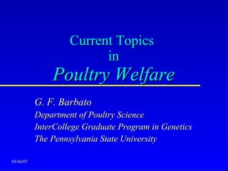 05/04/07 Current Topics  in Poultry Welfare G. F. Barbato Department of Poultry Science InterCollege Graduate Program in Genetics The Pennsylvania State University 
