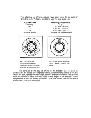 * The following set of temperatures have been found to be ideal for
brooding under Philippine conditions. Use this as a guide only.
Age of Chicks Brooding Temperature
(weeks) (0
C)
0-1 32.2 – 35.0 (90-95 F)
1-2 29.4 – 32.2 (85-90 F)
2-4 26.7 – 29.4 (85-90 F)
Above 4 weeks Remove the supply of heat
Fig.1 The chicks feel
comfortable and evenly
distributed around the hoover
when the temperature is right
Fig.2 There is draft when the
chicks wedge behind the
hoover
The behavior of the day-old chicks in the brooder can be used as
guideline for the correct brooding temperature. When the temperature is hot, the
chicks will pant, spread out their wings, eat less and remain inactive, move away
from the source of heat and stay close to the edges of tile brooder. When
temperature is low, the chicks will crowd under the heater, pile up and make
known their comfort loud chirping.
 