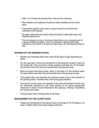 * After 7 to 10 days the brooder floor mats can be removed.
* More feeders and waterers should be made available as the chicks
grow.
* Vaccination against avian pest is a good measure to prevent the
outbreak of the disease.
* AIl weak, deformed and sickly chicks should be culled right away and
properly disposed of.
* The immediate burning or burying of dead birds is an important part of
a good sanitation program. Use an incinerator if dealing with large
numbers or bury them in the ground right away. Do not expose to flies or
rats.
REARING OF THE GROWING STOCK
* Broilers are marketed when they reach 45-60 days of age depending on
strain.
* For the egg type, chicks are transferred to the growing houses or pens at
6-8 weeks old. They are kept in these quarters until they are 16-18 weeks
old at which time then they are transferred to the laying house.
* Birds are given anti-stress drugs, either in the feed or in the drinking water
2-5 days before and after they are transferred to the growing houses.
* Thoroughly clean and disinfect the growing houses prior to the transfer of
the growing stock. Transfer birds only during good weather.
* During hot summer days, the appetite of the birds diminishes but this may
be sufficiently restored by wet mash feeding or by taking appropriate
measures to lower house temperature like spraying, misting or sprinkling
the roofing with water.
* Provide clean fresh drinking water at all times.
MANAGEMENT OF THE LAYER FLOCK
* Pullets are transferred to the laying house at the age of 16-18 weeks or at
least 3 weeks before the onset of egg production.
 