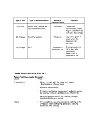 Age of Bird Type of Vaccine to Use Route of
Administration
Remarks
8-10 days
21-24 days
26-28 days
New Castle Disease (NC)
or Avian Pest Vaccine
Fowl Pox Vaccine
NCD
Intranasal
Wing web
Intranasal or
Intramuscular
Chicks from
unvaccinated parents
may be vaccinated as
early as 3 days of age.
May not be given in
areas where the
disease is not
common.
Check protection to
10-14 days after
vaccination.
Revaccinate if
protection is low.
COMMON DISEASES OF POULTRY
Avian Pest (Newcastle Disease)
Cause Virus
Transmission * Direct contact with the nasal and mouth
discharges of infected birds
* Airborne transmission
* Through mechanical means such as being carried
by sparrows (maya), predators, or other birds.
* Human beings transmit the disease through
infected clothes and shoes.
Signs * In young birds, gasping, coughing, rattling of the
windpipe, hoarse chirping, paralysis, walking
backward and circling.
 